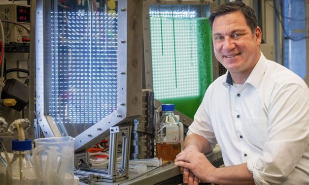 Algae-based Sustainable Carbon Fibers Developed